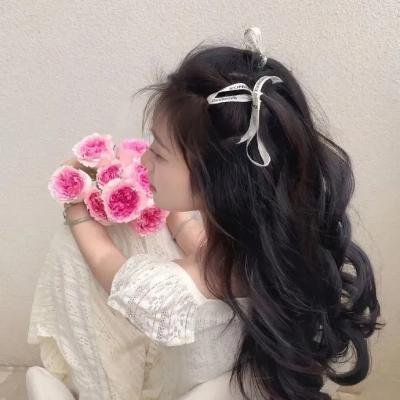 家庭入侵